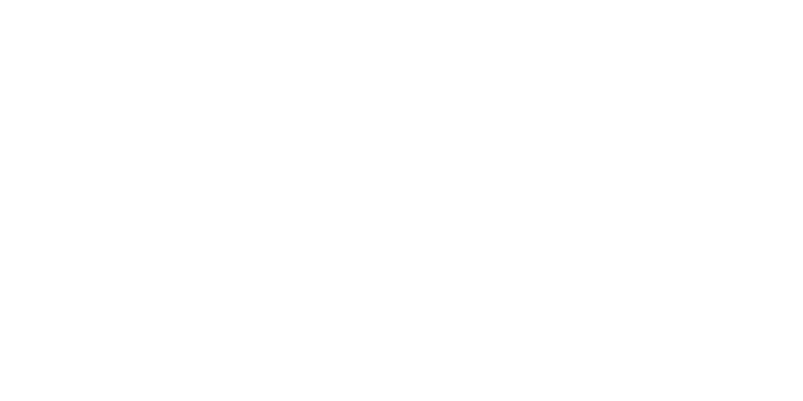 VluchtelingenWerk Nederland